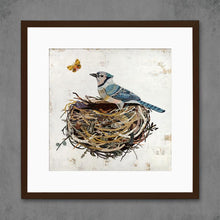 Load image into Gallery viewer, Dolan Geiman Signed Print Blue Jay