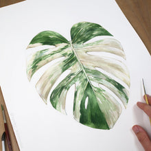 Load image into Gallery viewer, Monstera Albo Borsigiana Leaf Print