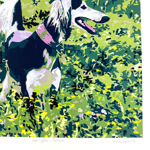 Afghan Dog Meadow Screen Print