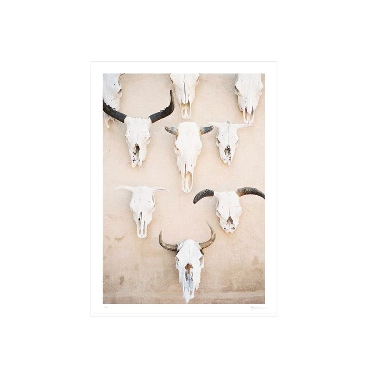 Gage Hotel Cow Skulls Print