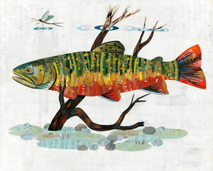 Brook Trout Signed Print