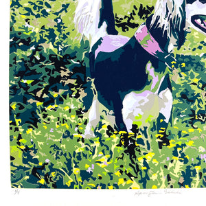 Afghan Dog Meadow Screen Print