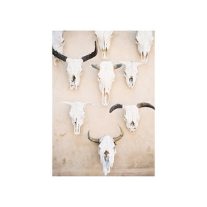 Gage Hotel Cow Skulls Print