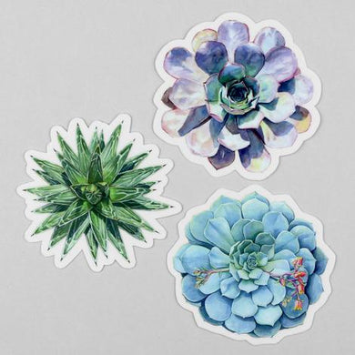 Succulent Sticker Set